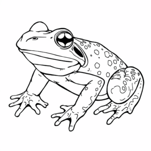 Frosch groß