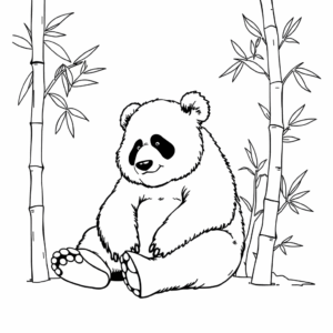 Panda Bambus Pflanze