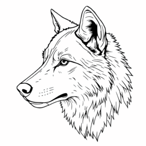 Wolf Portrait