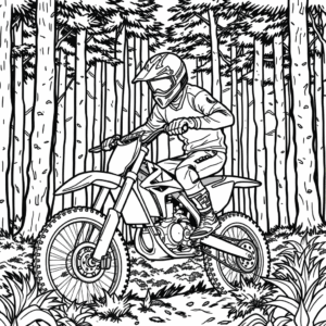 Motocross Wald
