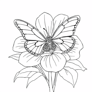 Blumen Schmetterling