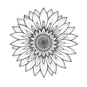 Sonnenblume von oben