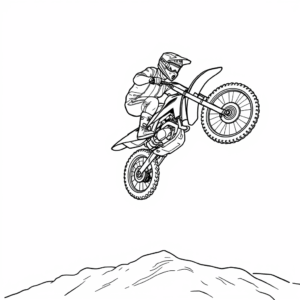 Motocross Stunt