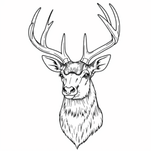 Hirsch Kopf mit Geweih